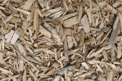 biomass boilers Ulpha